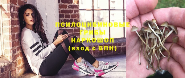 скорость Баксан