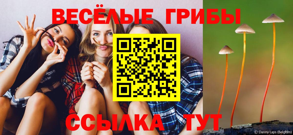 Галлюциногенные грибы прущие грибы  Псилоцибиновые грибы Psilocybine cubensis  Вход с VPN  Семилуки 