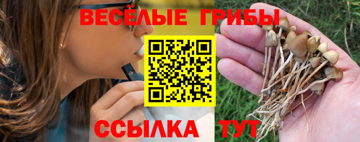Псилоцибиновые грибы Psilocybine cubensis Семилуки